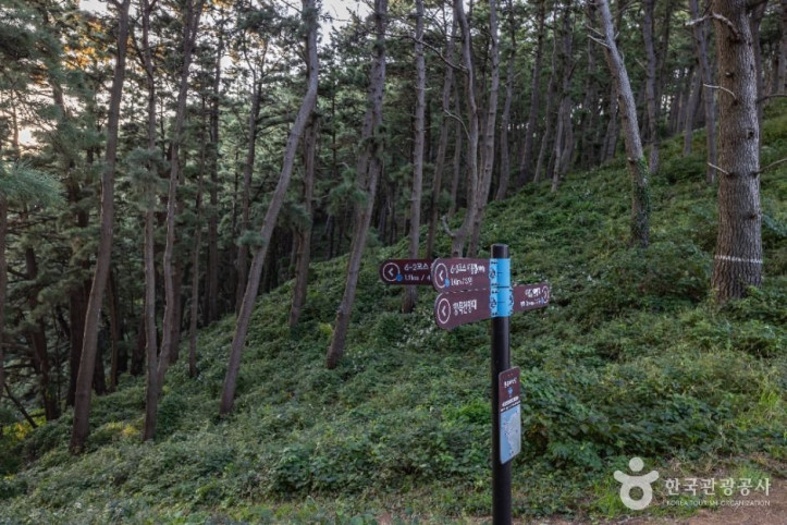 태하 해안산책로 및 대풍감 (울릉도, 독도 국가지질공원) 여행 추천 - 메고지고