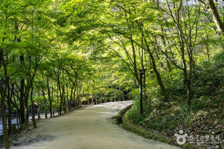 강천산 군립공원 여행 추천 - 메고지고