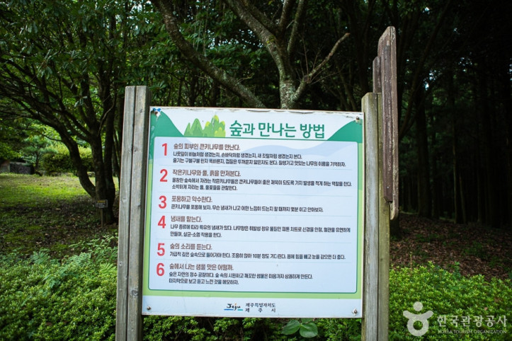 장생의숲길 여행 추천 - 메고지고