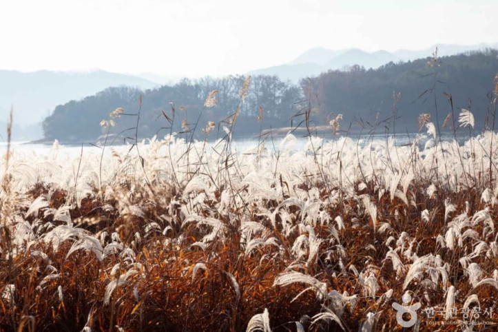 대청호 여행 추천 - 메고지고