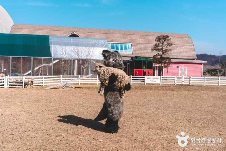 블랙스톤 벨포레 목장 여행 추천 - 메고지고