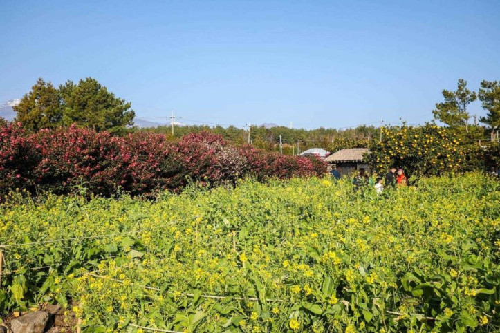 휴애리자연생활공원 여행 추천 - 메고지고