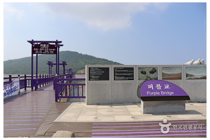반월도·박지도 여행 추천 - 메고지고
