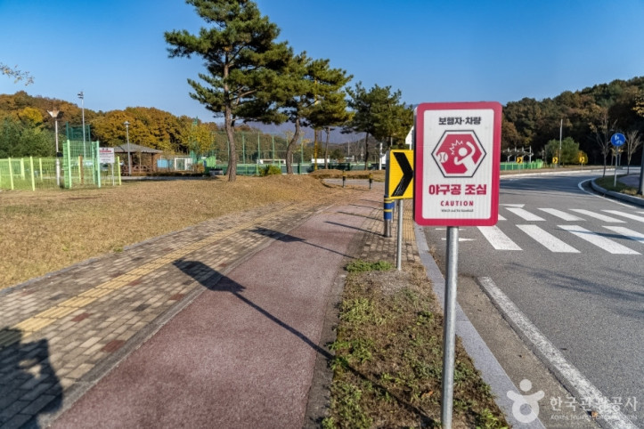 원주태장체육단지 여행 추천 - 메고지고