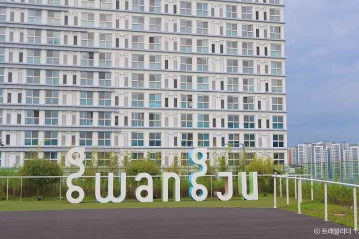 전일빌딩245 여행 추천 - 메고지고