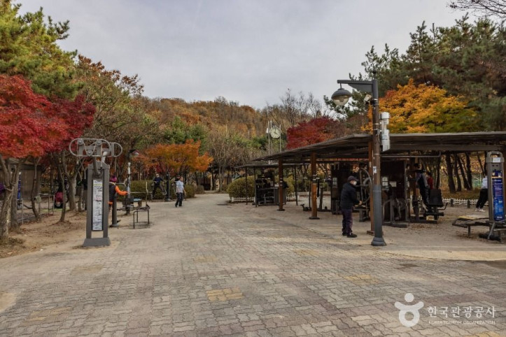 금천 체육공원 여행 추천 - 메고지고