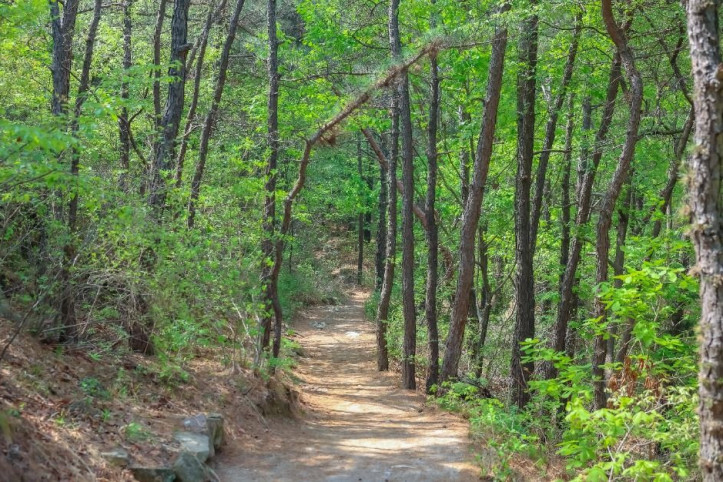 [서울둘레길 12코스] 호암산코스 여행 추천 - 메고지고