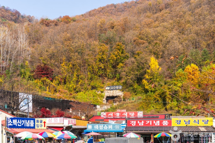 단양 관광특구 여행 추천 - 메고지고