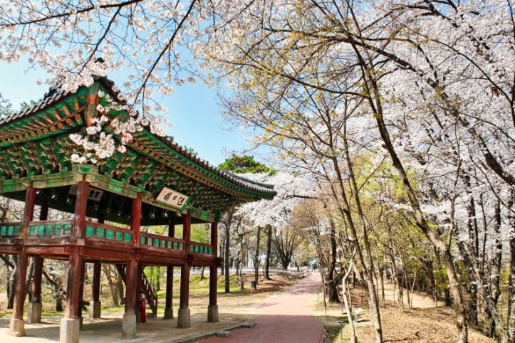 낙화암 여행 추천 - 메고지고