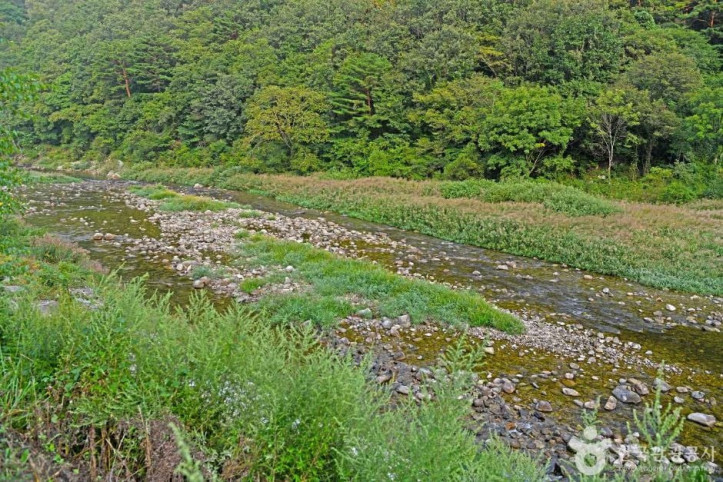 추대계곡 여행 추천 - 메고지고