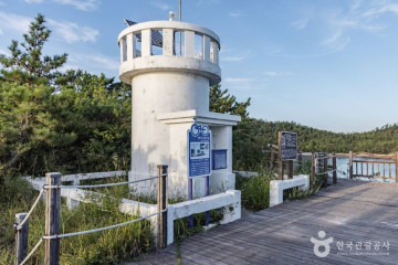 암태남강선착장 여행 추천 - 메고지고