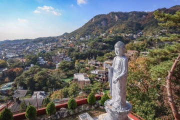 금선사(서울) 여행 추천 - 메고지고