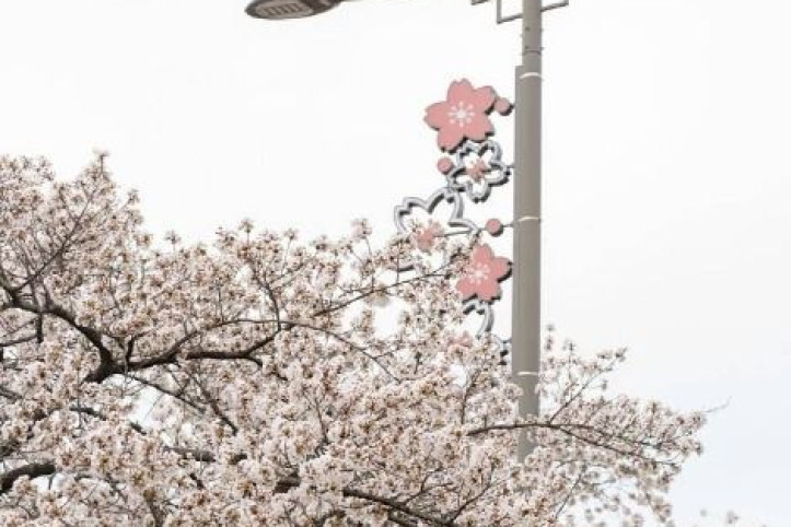 경포생태저류지 여행 추천 - 메고지고