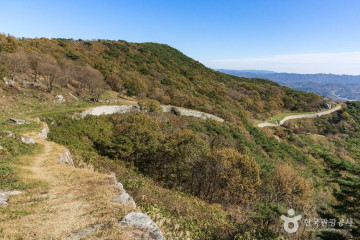 봉수산자연휴양림&수목원 여행 추천 - 메고지고