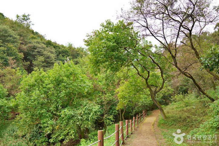 생거진천치유의숲 여행 추천 - 메고지고