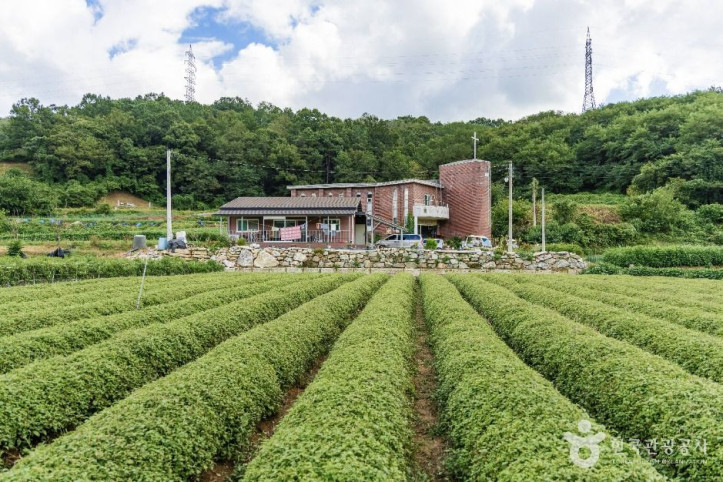 금산 바리실마을 여행 추천 - 메고지고