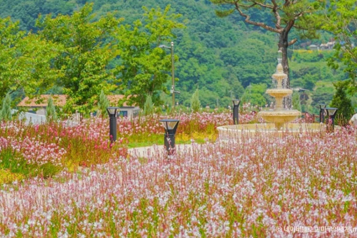 용인자작나무숲 여행 추천 - 메고지고
