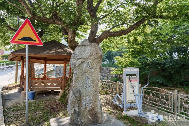 춘양목송이 정보화마을 여행 추천 - 메고지고