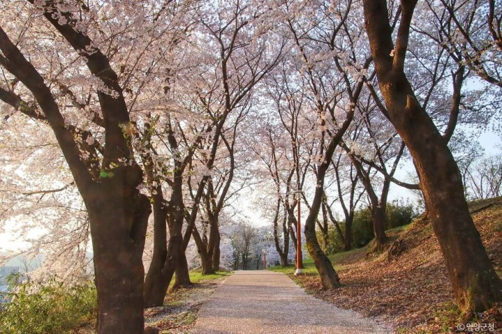 현산공원 여행 추천 - 메고지고