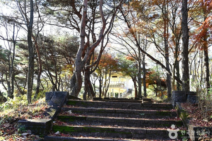 대아저수지(대아호) 여행 추천 - 메고지고