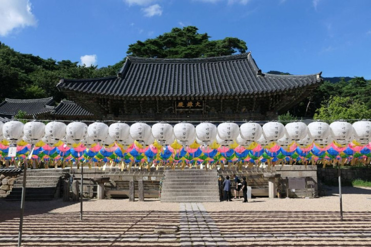 동화사(대구) 여행 추천 - 메고지고