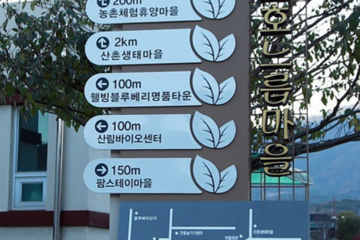 유촌리 파로호 느릅마을 여행 추천 - 메고지고