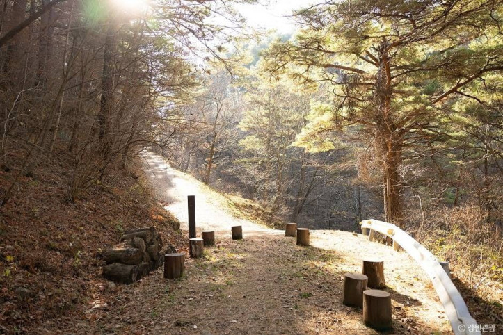 삼척 준경묘 여행 추천 - 메고지고