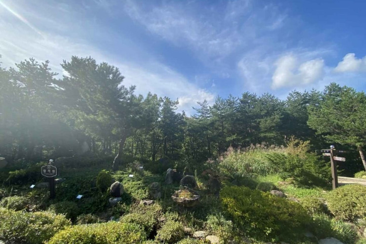 설악산 자생식물원 여행 추천 - 메고지고