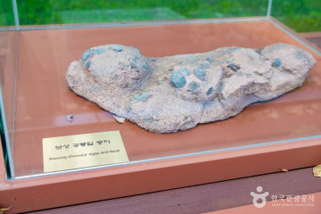 비봉공룡공원 여행 추천 - 메고지고