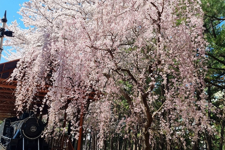 삼무공원 여행 추천 - 메고지고