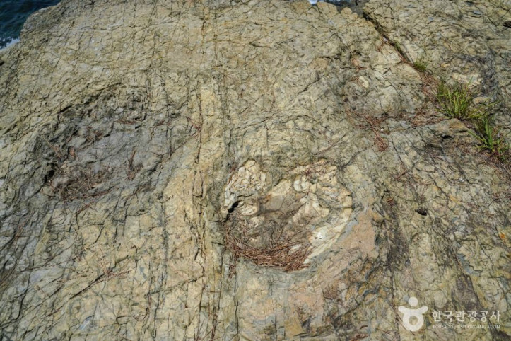 동해면 작은 구학포 공룡 화석지 여행 추천 - 메고지고