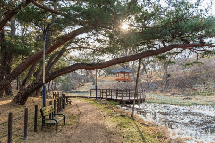 포항 덕동문화마을 여행 추천 - 메고지고