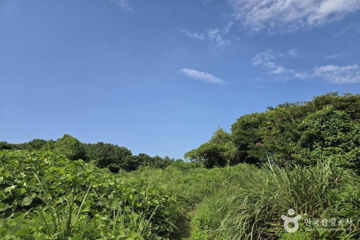 열안지오름(봉개동) 여행 추천 - 메고지고