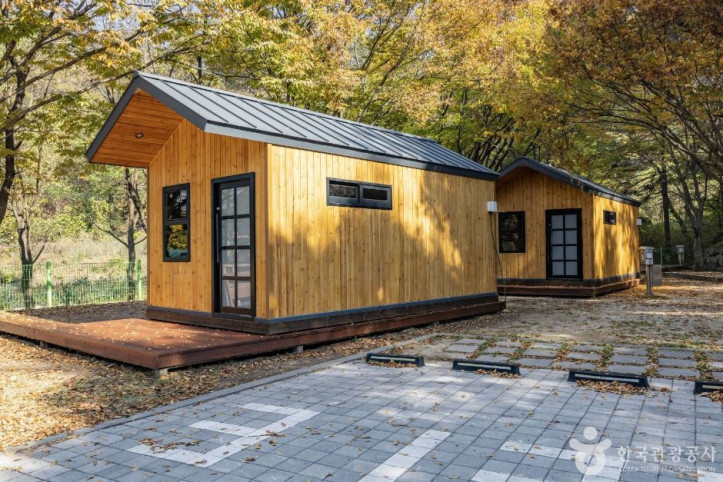 옥화자연휴양림 여행 추천 - 메고지고