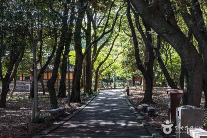 제주 삼성혈 여행 추천 - 메고지고