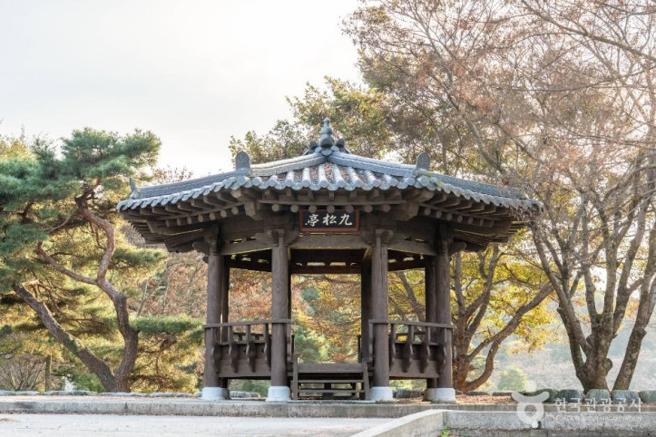 구송정 유원지 여행 추천 - 메고지고