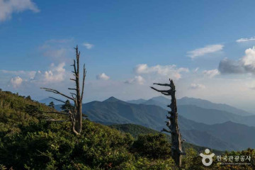무주덕유산리조트 가족호텔 여행 추천 - 메고지고