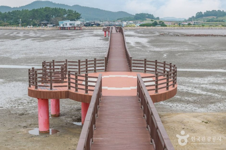 짱뚱어다리 여행 추천 - 메고지고