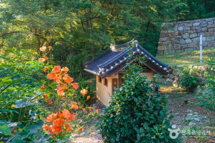 금곡사(칠곡) 여행 추천 - 메고지고