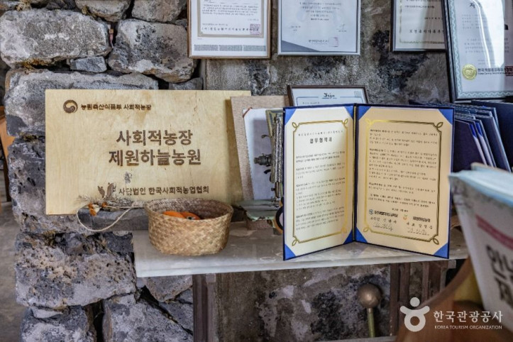 제원하늘농원 여행 추천 - 메고지고