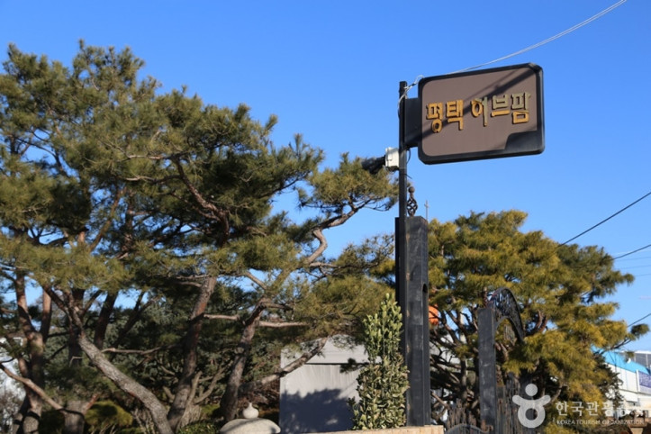 평택허브팜 여행 추천 - 메고지고