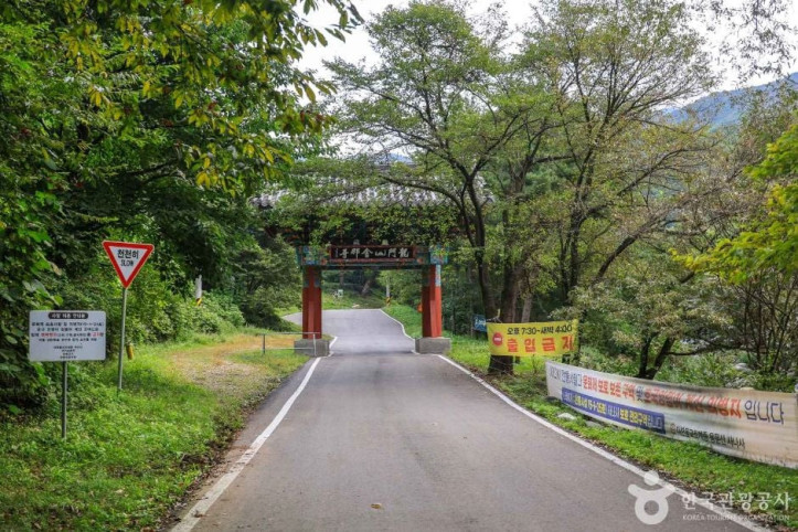 사나사 계곡 여행 추천 - 메고지고
