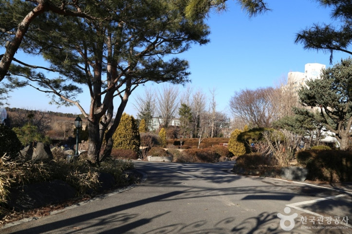 평택허브팜 여행 추천 - 메고지고