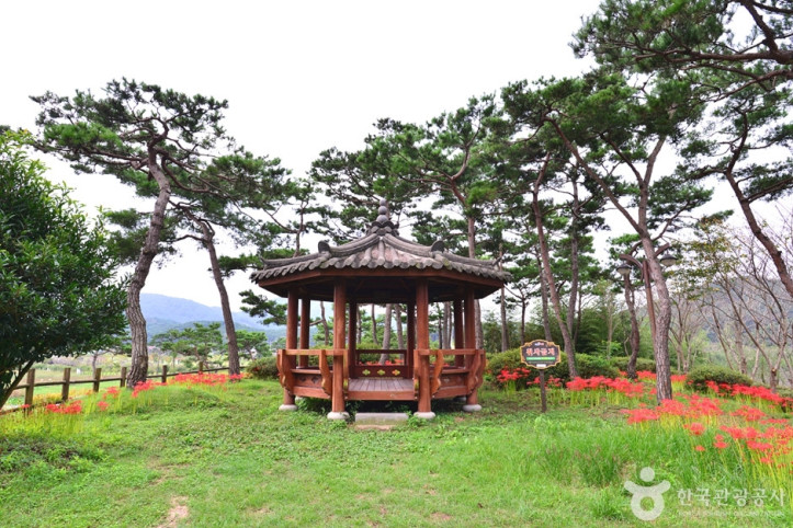 영광불갑테마공원 여행 추천 - 메고지고