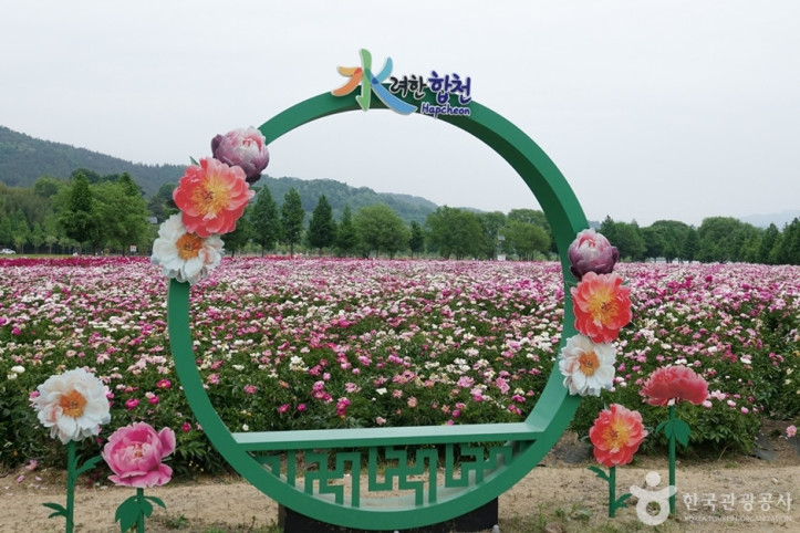 핫들생태공원 여행 추천 - 메고지고