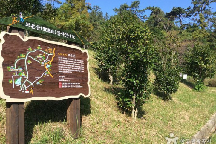 보은산 여행 추천 - 메고지고