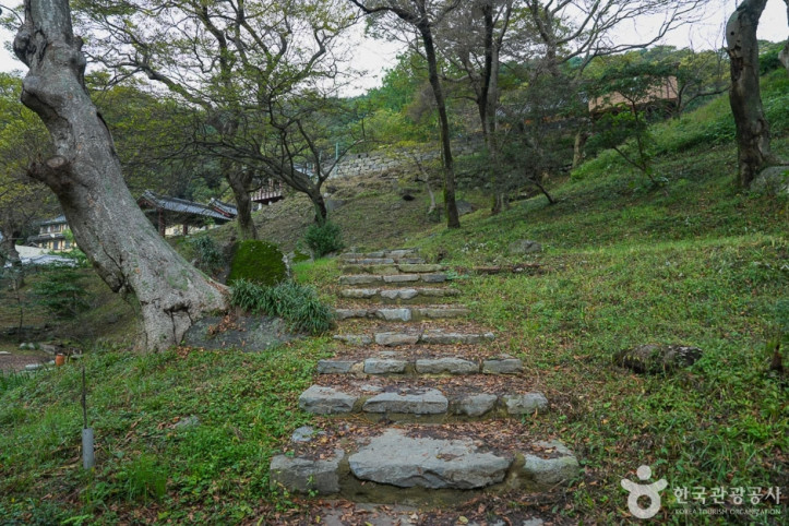 도비 마루길 여행 추천 - 메고지고