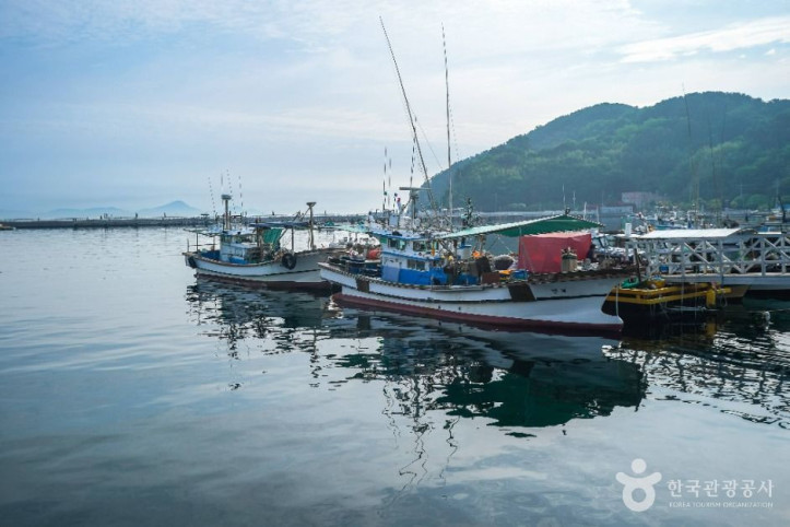능포항 여행 추천 - 메고지고