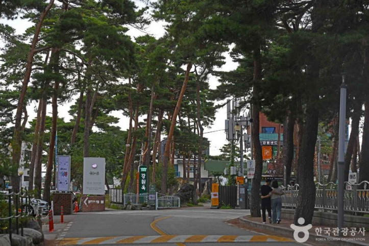 초당순두부마을 여행 추천 - 메고지고