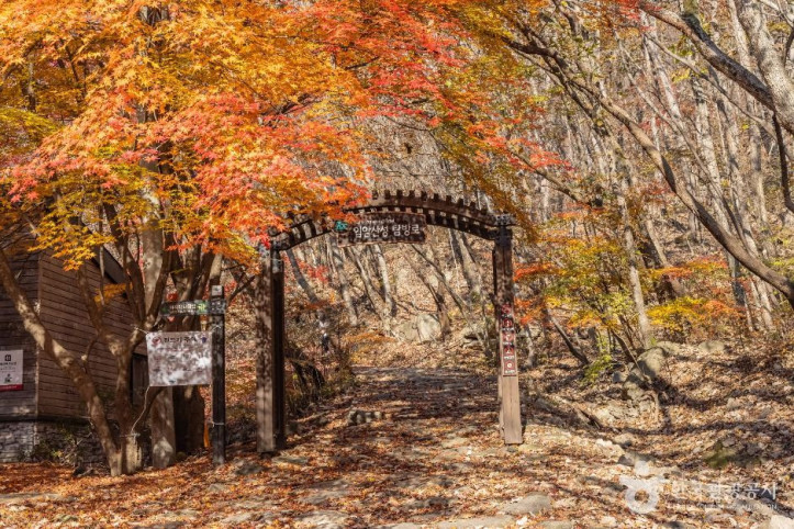 입암산 여행 추천 - 메고지고